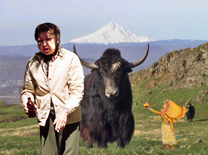 yak