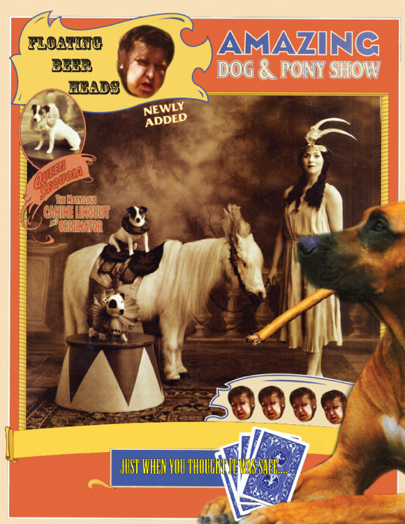 dog and pony show